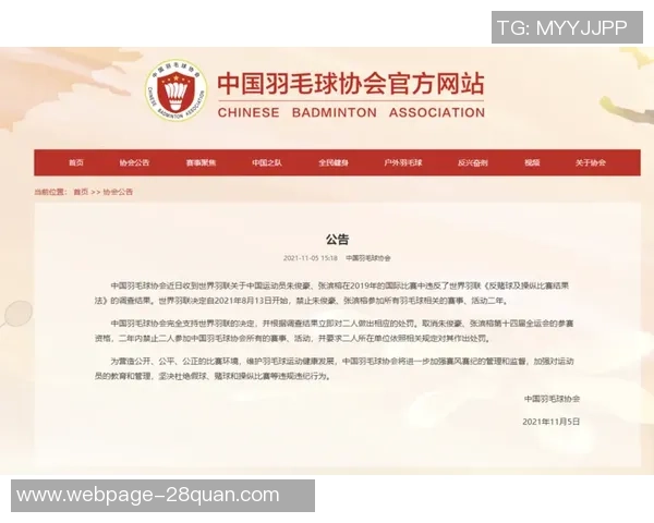 南京羽毛球队实力深度解析与其他球队的比较分析